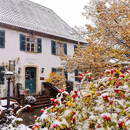 Landgasthof Buettel Guest house 3*